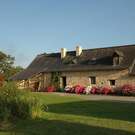 Grand Mainguet Bed and Breakfast Saint-Lambert-la-Potherie Exteriör bild