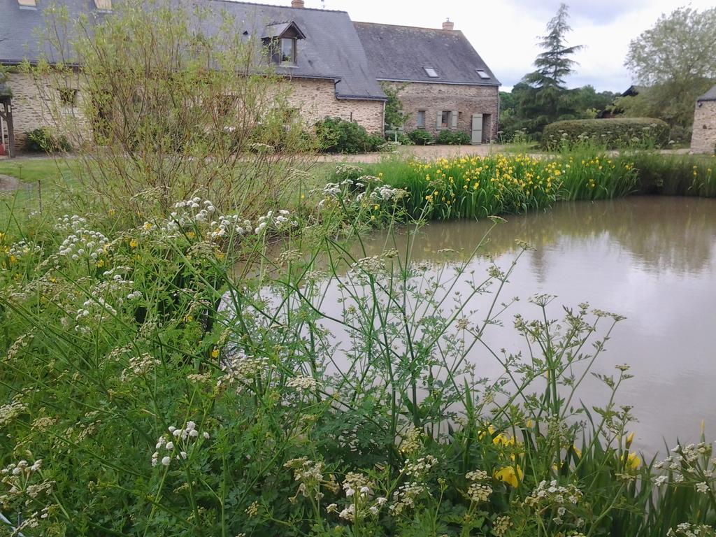 Grand Mainguet Bed and Breakfast Saint-Lambert-la-Potherie Exteriör bild